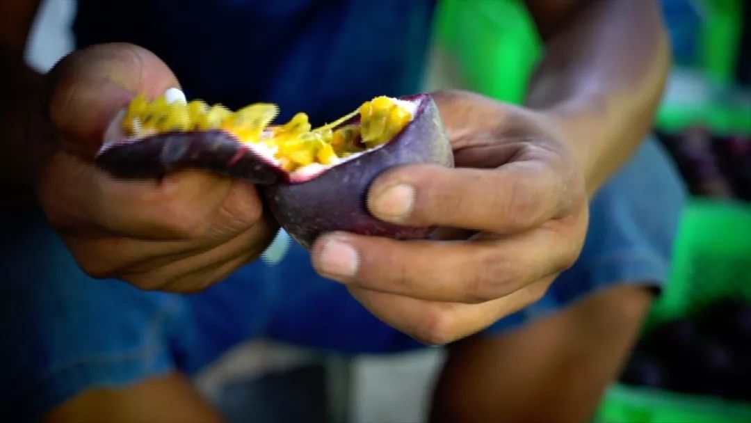 宾川最出名的石榴,大理宾川石榴