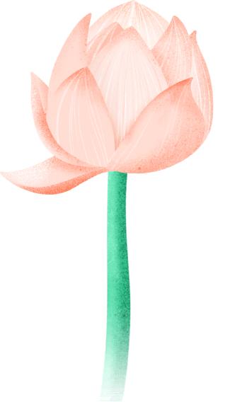 信息无障碍论坛,中国首届残疾人无障碍论坛