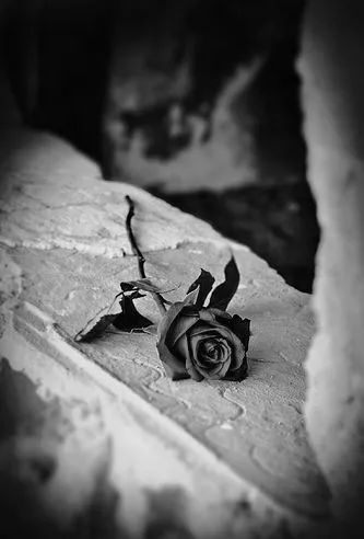 50首老歌精选每首都是当年的记忆,20首经典怀旧老歌连唱