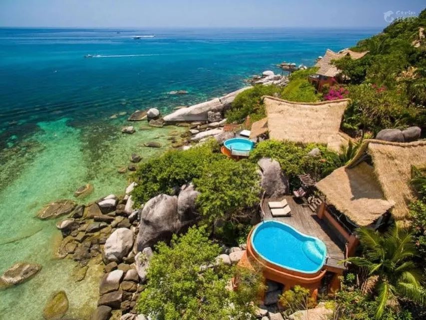 全球最受欢迎树屋酒店｜夜晚坠入大自然的梦乡，清晨在森林的枝桠间醒来