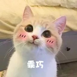 处方药和otc怎么选择,非处方药otc怎么看