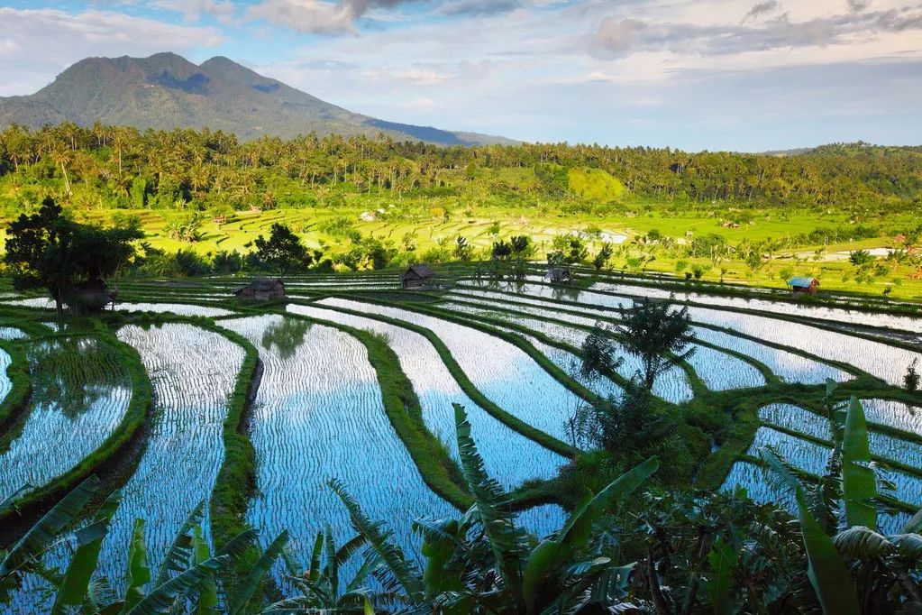 东南亚适合旅游的地方排名,东南亚哪些国家旅游性价比最高呢