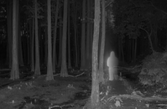 影会抢先看|「DIPE—画廊博览会」Sophoto摄影画廊：海外艺术留学生作品展《时·差》