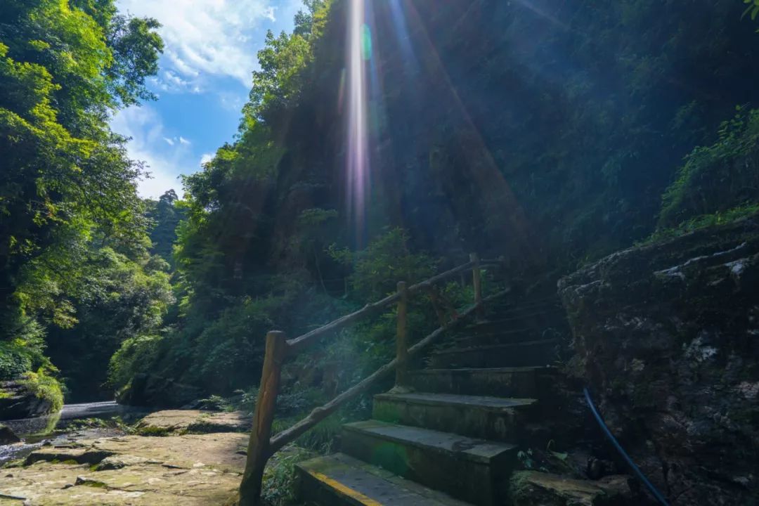 大明山视频播放,大明山视频完整版