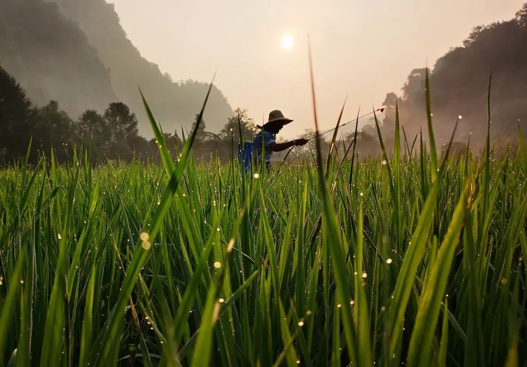 一年中最热吃什么,一年当中最热的都做什么