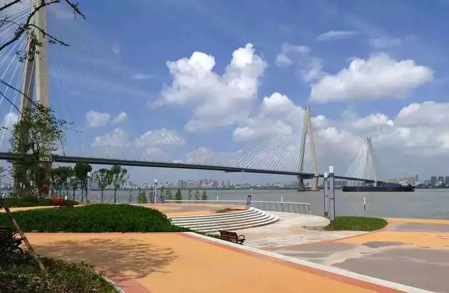 天呐!武汉这个区开挂了!反正我是羡慕了!