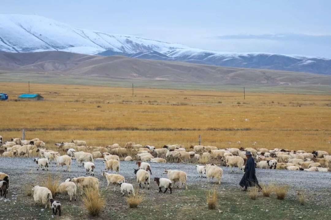 兰州到敦煌的高铁什么开通的,兰州至敦煌的动车何时能开通