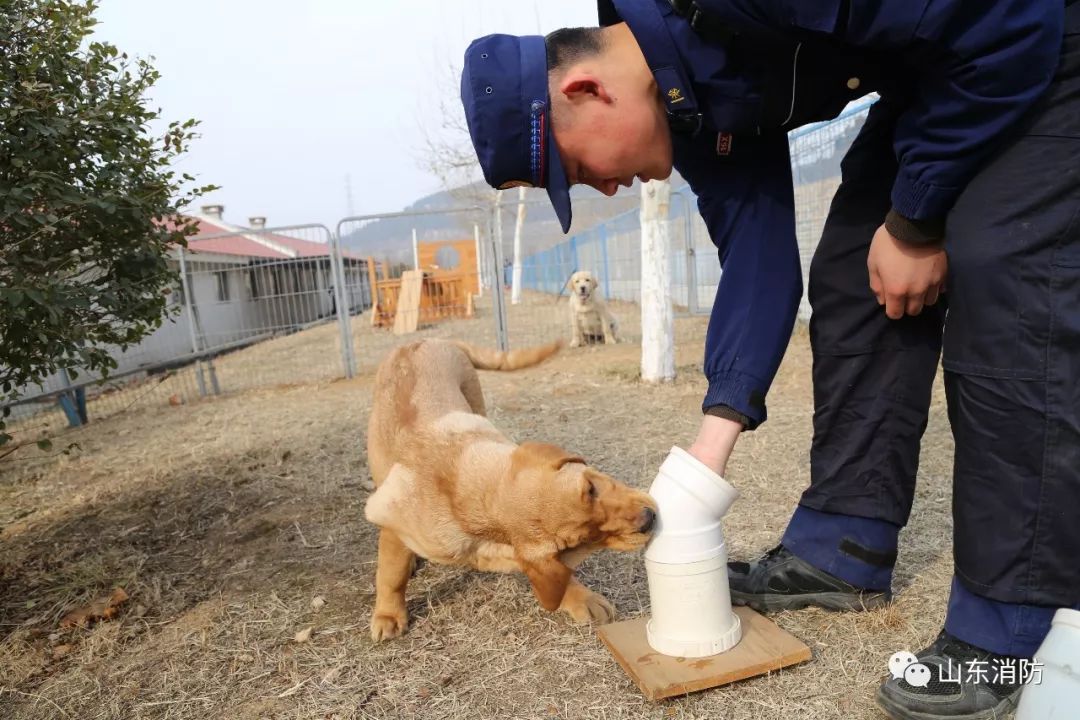 不忘初心警魂牢记使命,不忘初心牢记使命公益救援