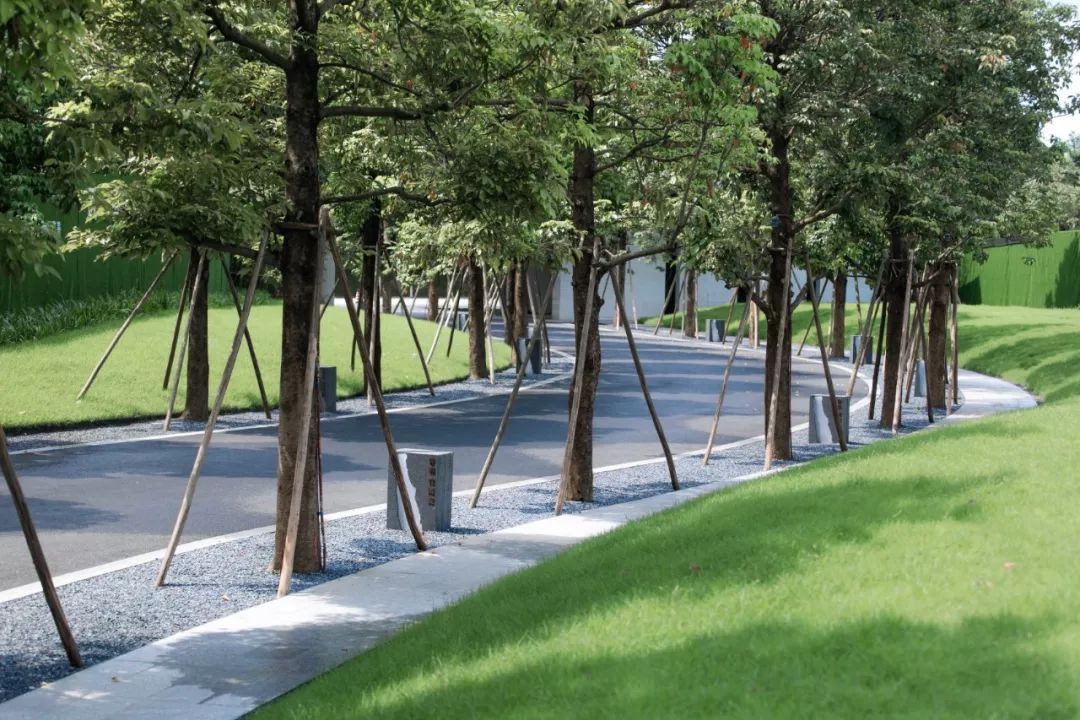 石语慕松林,水苑倾闻荫|广州保利·花城纪