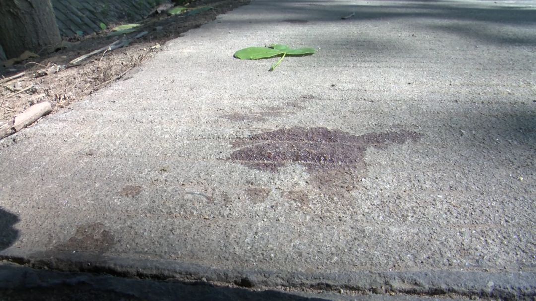 帮女郎广播：益阳大通湖的好女子叫欧敏奋不顾身勇救落水女婴