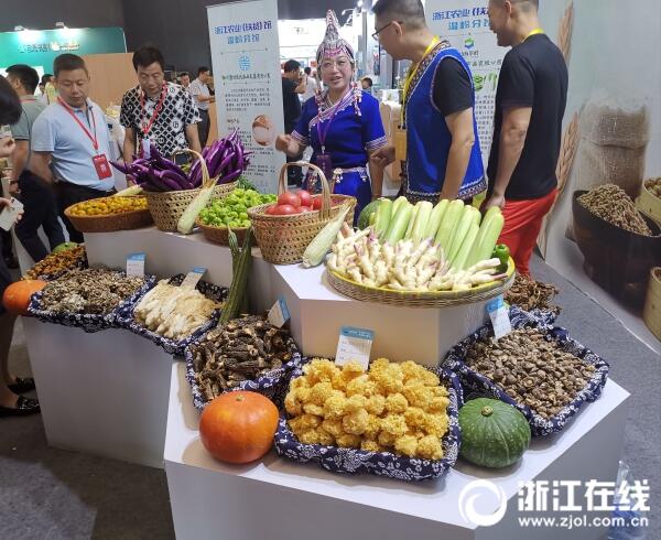 鏀垮簻閲囪喘鏀寔鑴辫传,鏀垮簻閲囪喘鎵惰传璺緞