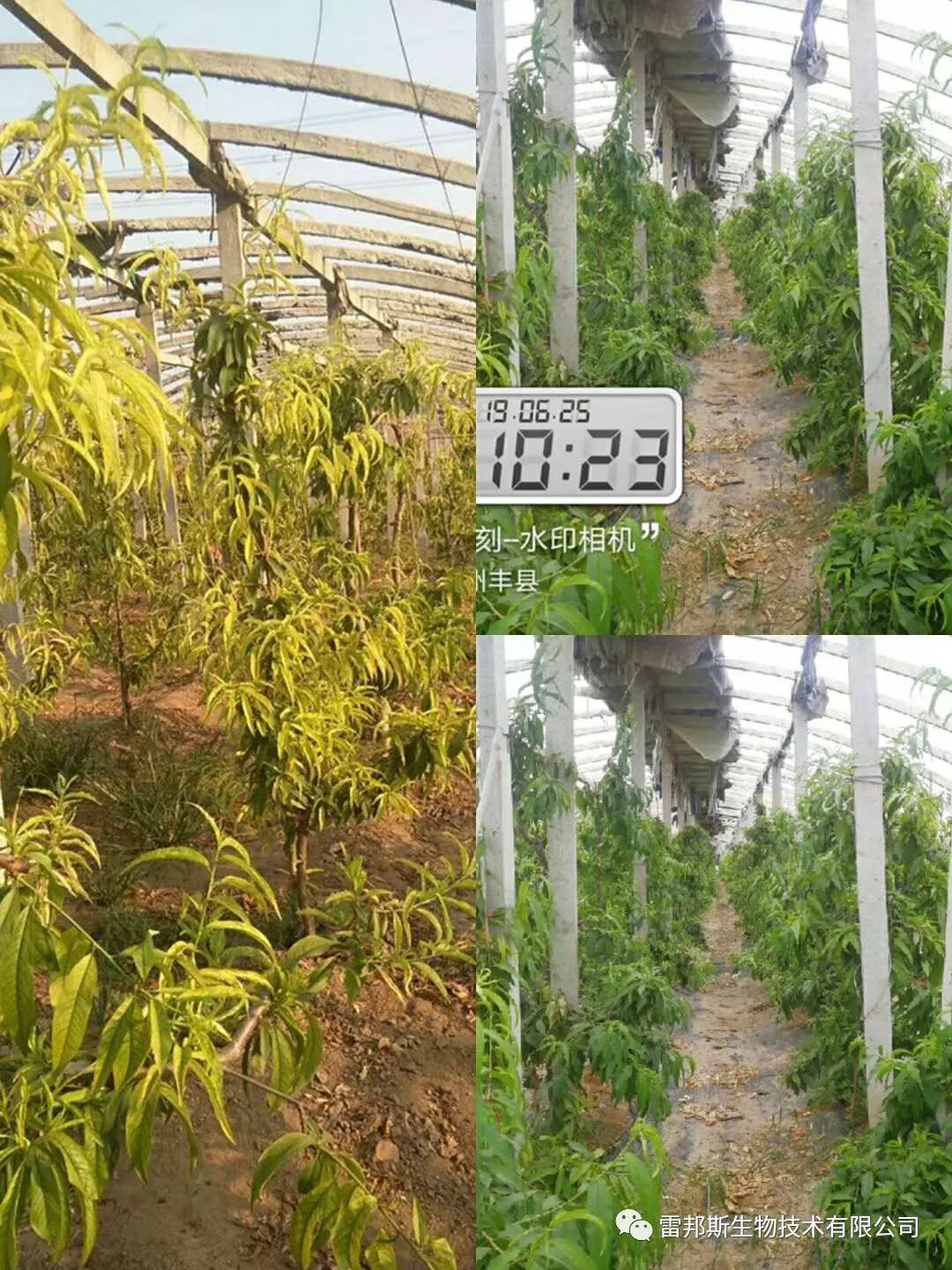 农资年入百万,农资挣钱