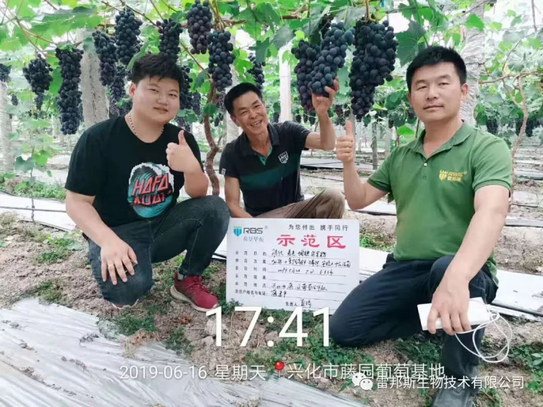 农资年入百万,农资挣钱