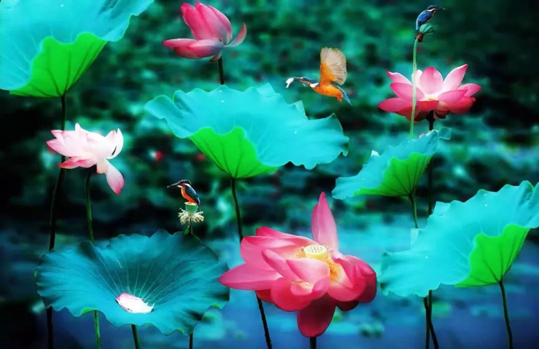 潍坊月亮湾,潍坊漂亮夜景