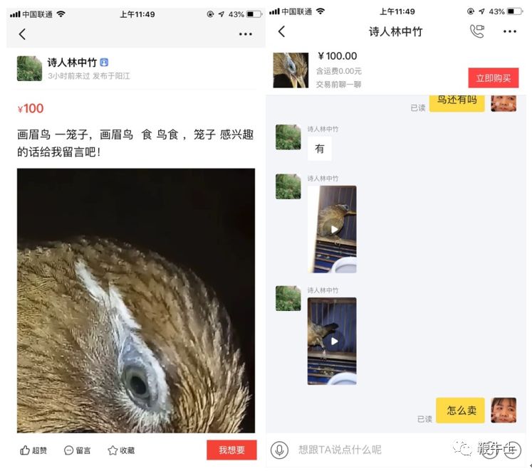 非法买卖国家重点保护动物,非法买卖动物产品