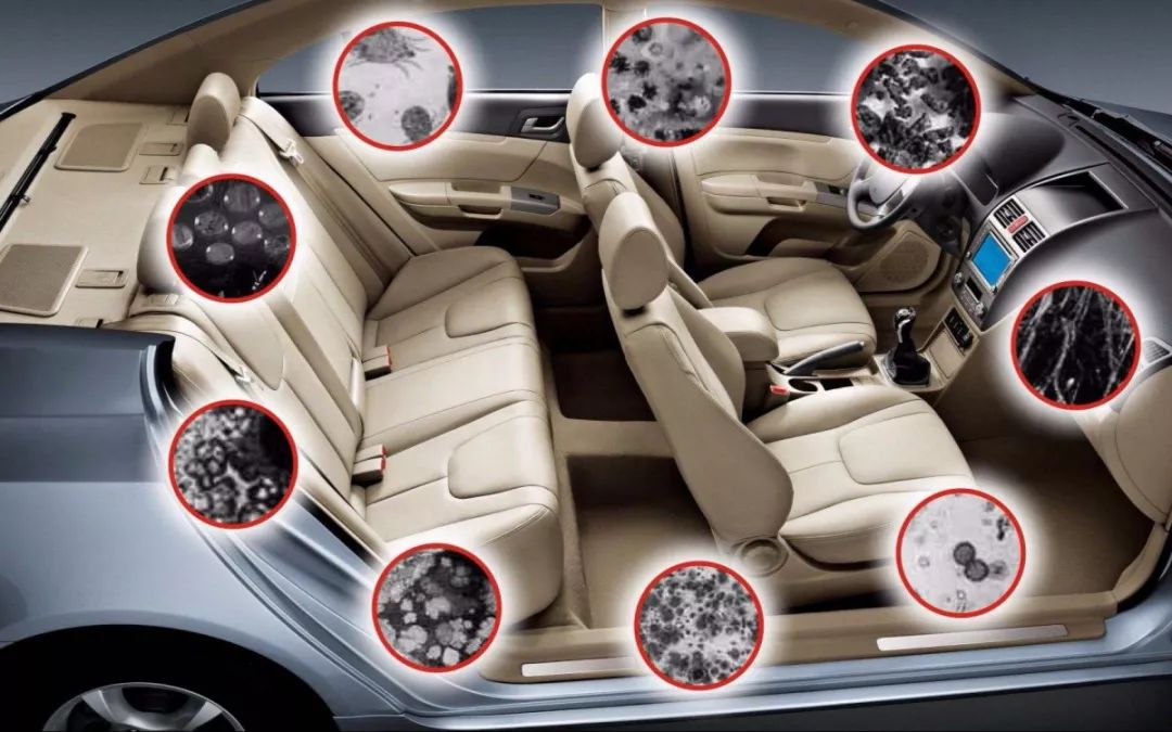 车里有蟑螂幼虫怎么办,车内有小蟑螂怎么解决