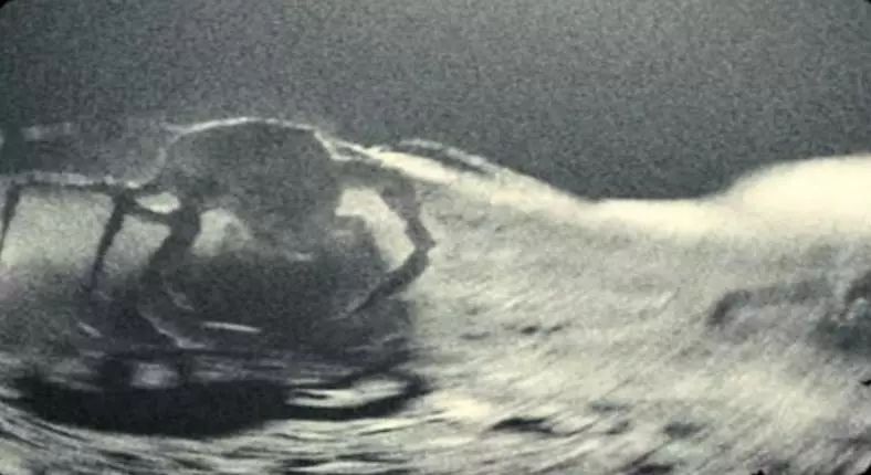 外星人是不是有各种各样的 (外星人会不会以特殊的形式存在)