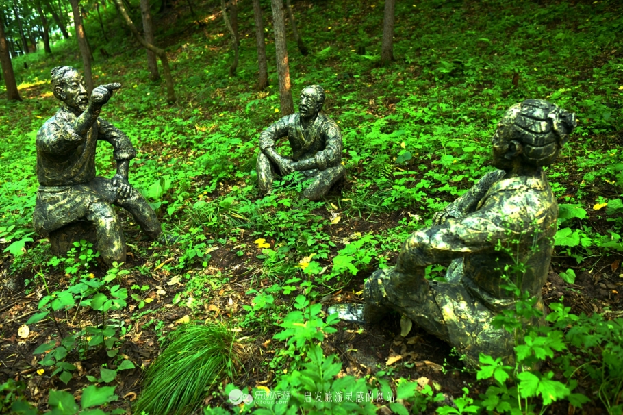 云岭深山自然美景,云岭野山参风景旅游区