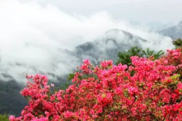成都附近天然氧吧旅游,成都天然氧吧