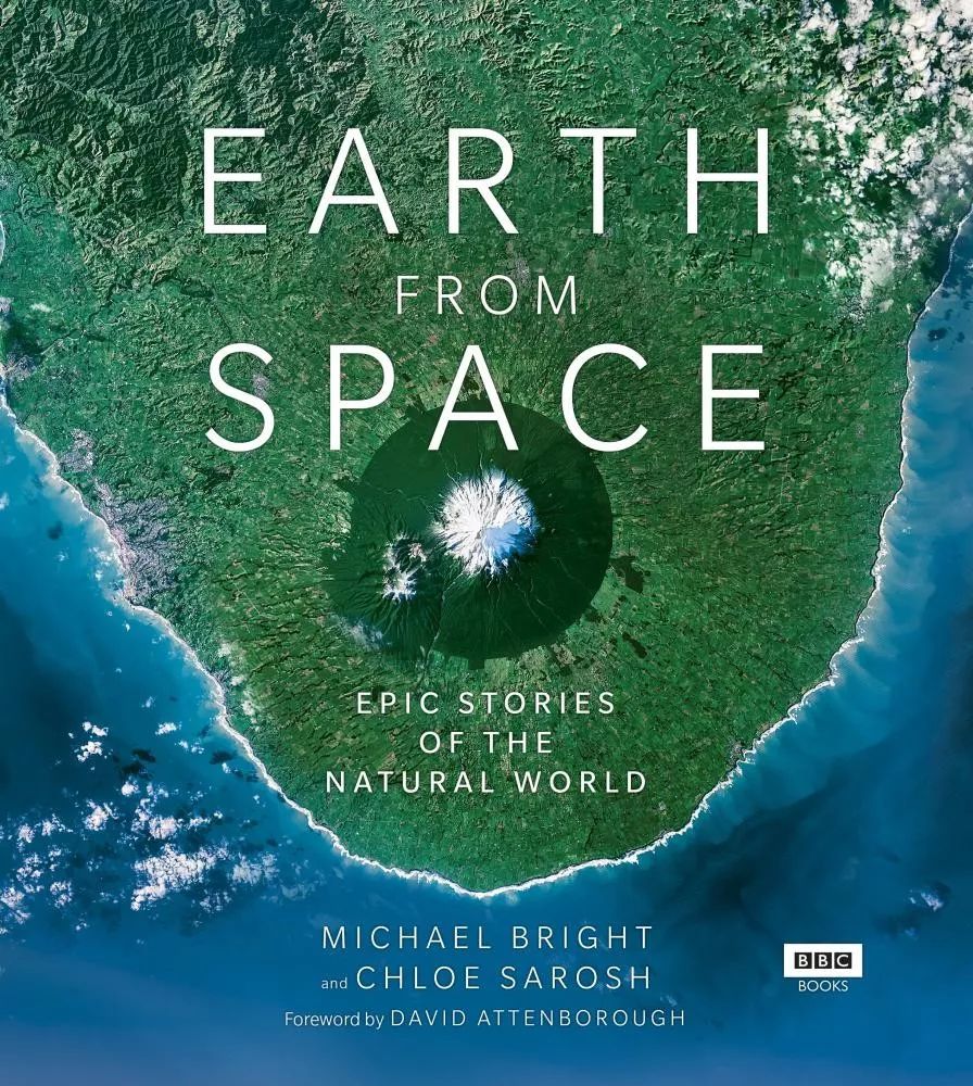 惊掉网友下巴的画面,豆瓣9.1分令人绝望