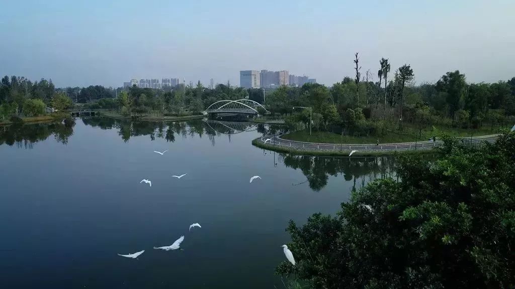 成都双流区旅游省钱攻略推荐,五一在双流适合去哪旅游