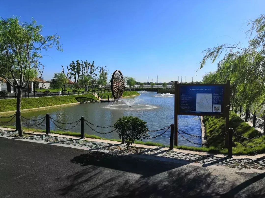 【在线访谈】传承金罗店文脉,打造长江口上的中国历史文化名镇