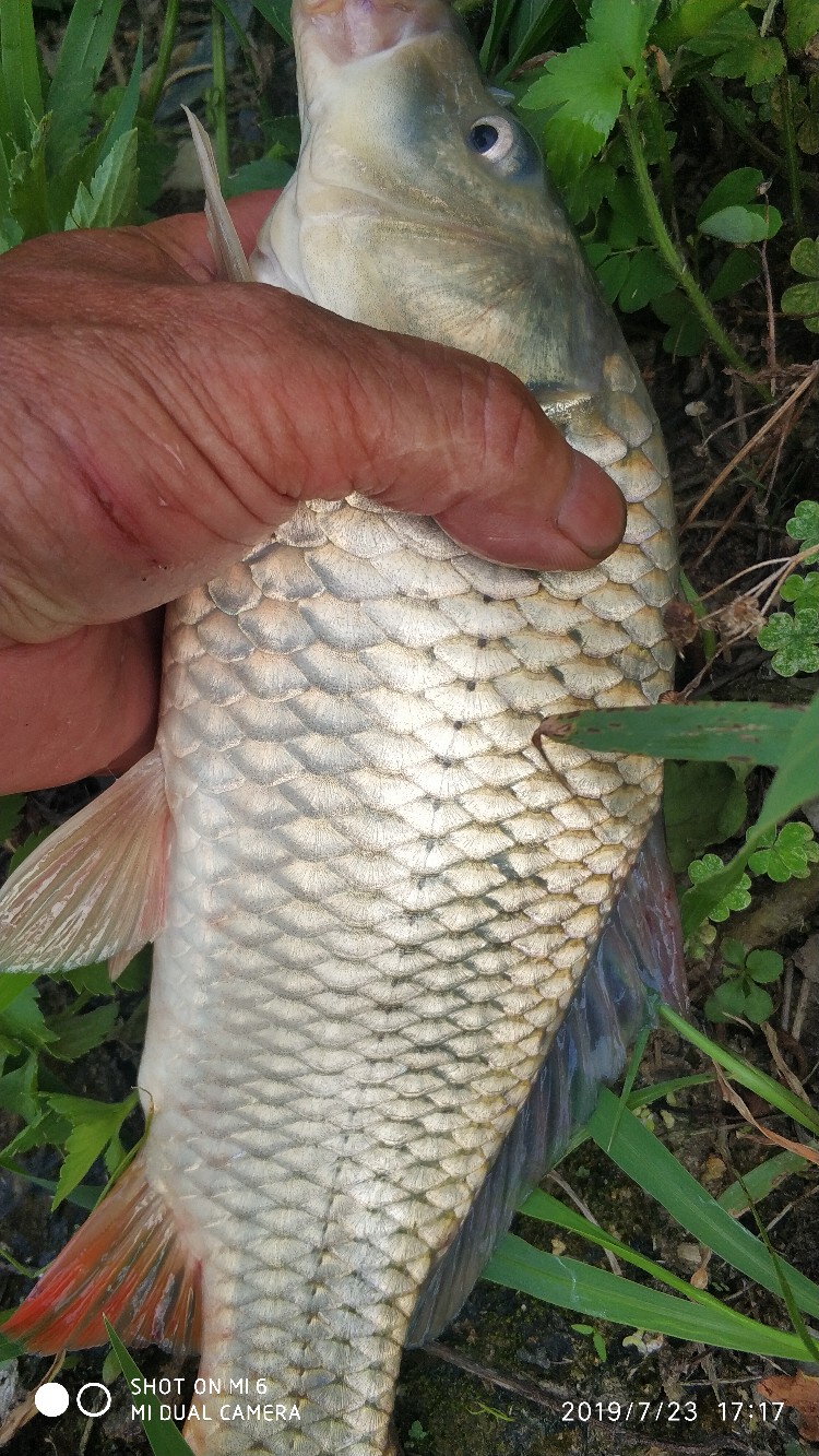 钓鱼享百味人生,钓鱼享乐趣