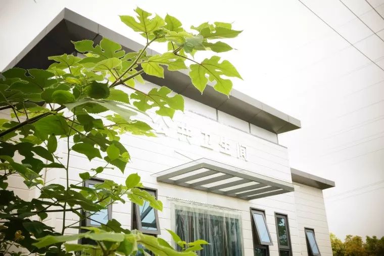 芜湖市五星级厕所,最好看的五星级公厕