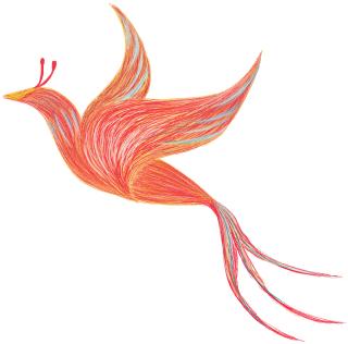 好严重的甲沟炎,离谱的甲沟炎