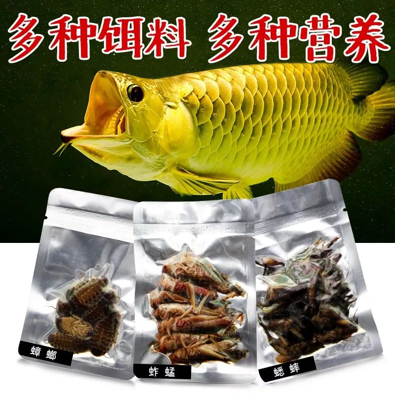 周末狂欢6.3礼包多少元宝,周末狂欢购好物播不停