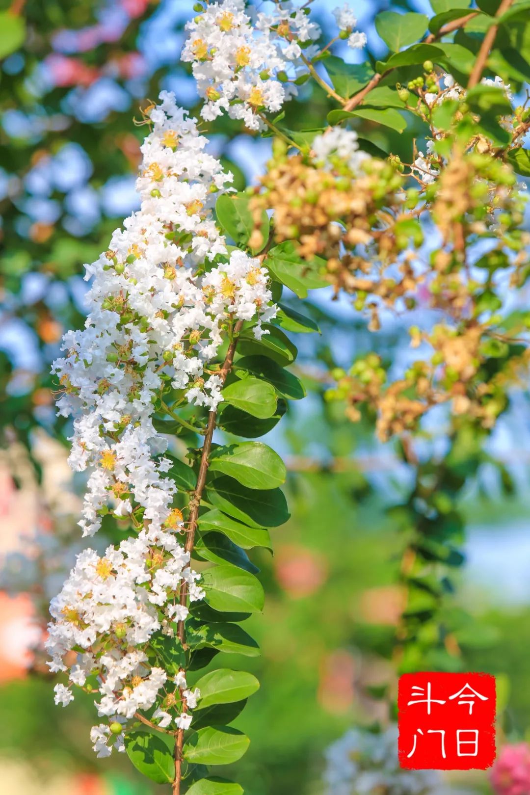 喜欢拍照的快来打卡,想去拍照的景点