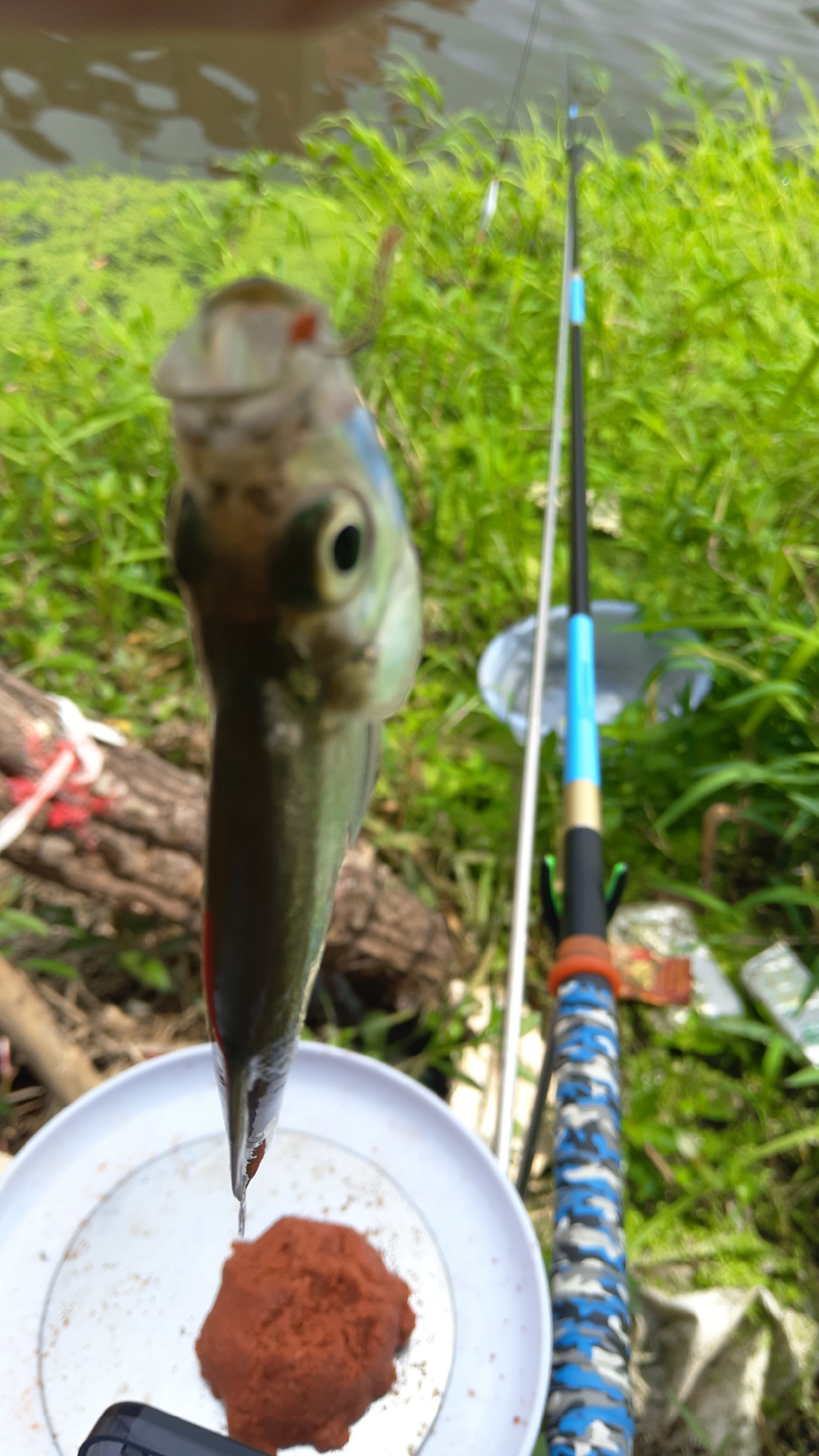 串钩钓餐条的方法与技巧,自制串钩线组教程