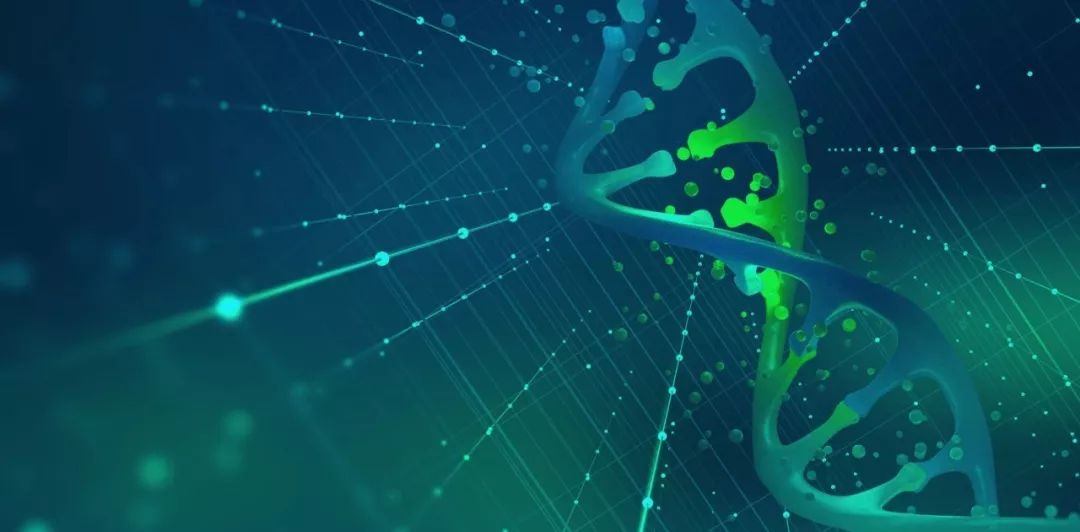 杜氏肌营养不良基因疗法最新进展,进行性肌肉营养不良基因检测