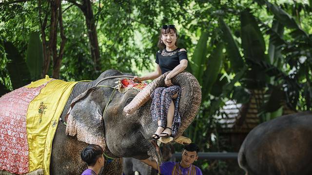 最后的净土,最后的净土格陵兰岛