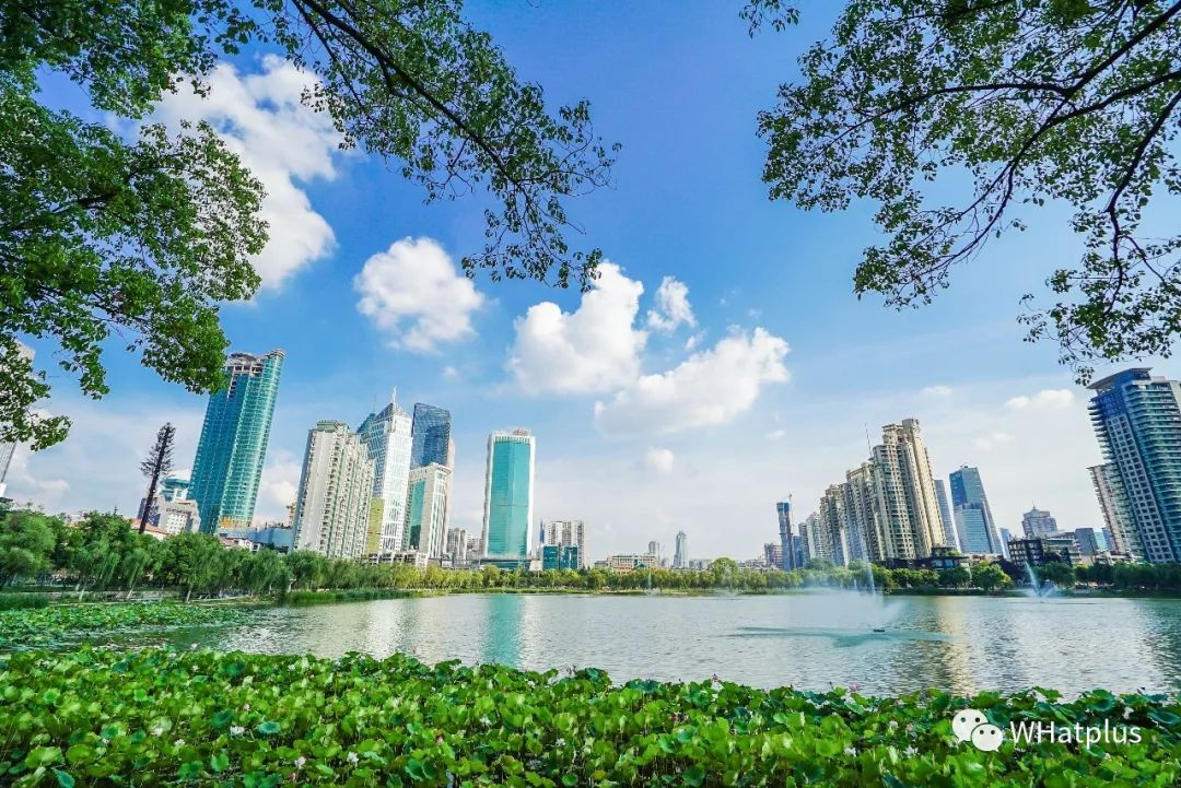 西北湖，韵滴莫抛子？