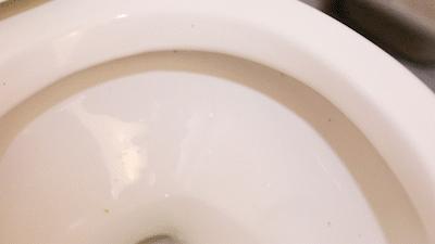 马桶特价秒杀200-300元,马桶冲水喷射大量细菌是真的吗