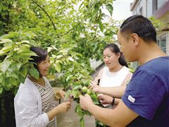 白子君：乡村医生变身农科专家