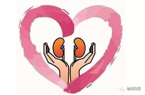 女尿毒症早期症状腰疼吗,尿毒症早期为什么会肚子疼腰痛