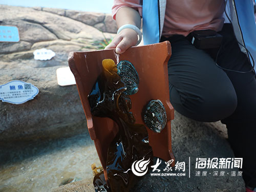 海洋人工造礁海洋牧场,海中农场