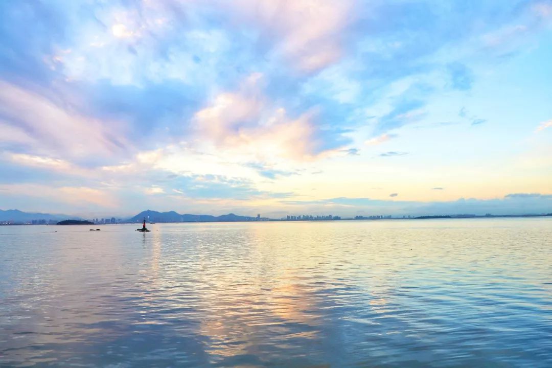 拔草厦门,厦门帆船酒店观景