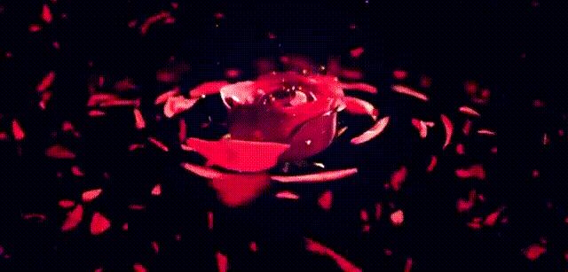 当西安姑娘太爽了!TF、MAC、阿玛尼...断货王白送就从今天起