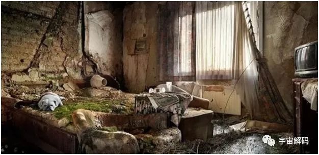 没有人类地球会怎么样,没有人类的地球纪录片