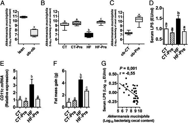 akk益生菌有什么功效,万能益生菌效果怎么样