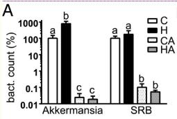 akk益生菌有什么功效,万能益生菌效果怎么样
