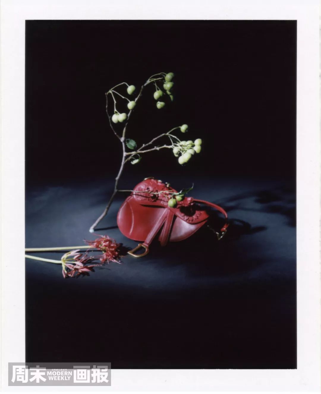 2021所有电视剧的cp,2022年剧集cp排行榜