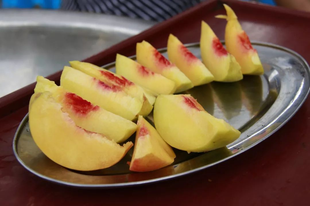 购购购！今天这里超热闹