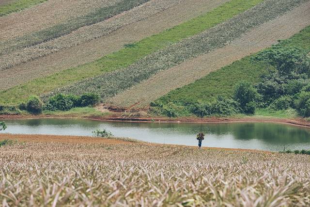 大陆之南,粤西越美,被旅行者忽略的处女地——雷州半岛