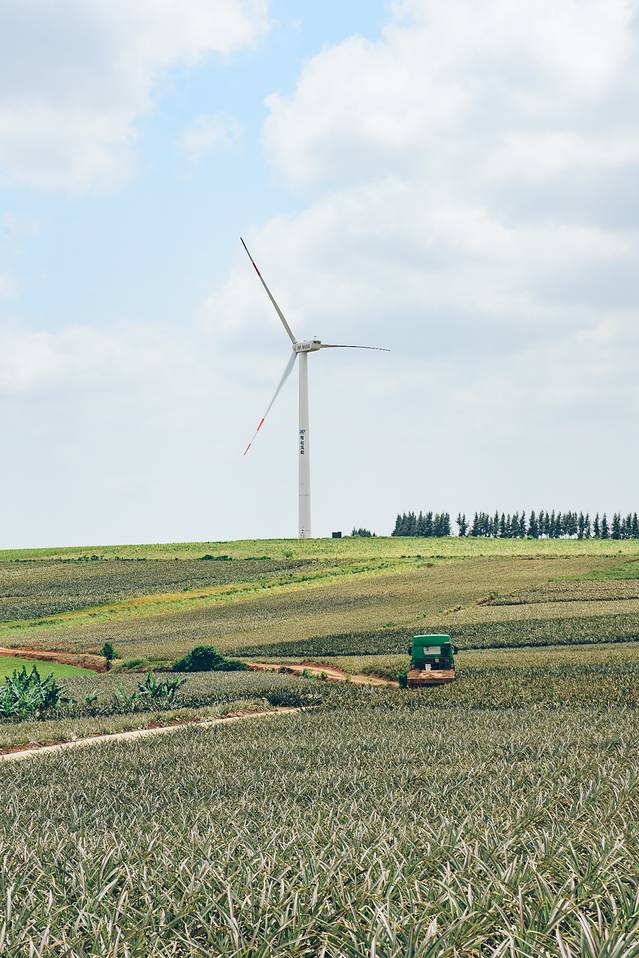 大陆之南,粤西越美,被旅行者忽略的处女地——雷州半岛