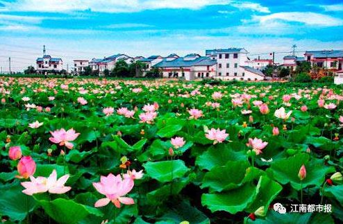 江西上饶入选百强市,上饶市国家级试点名单