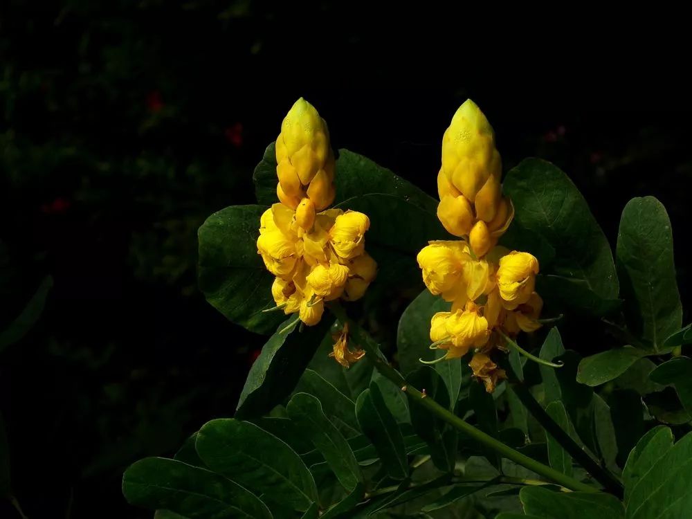 昔日女神负面消息缠身险过气,转手做生意却搞得风生水起